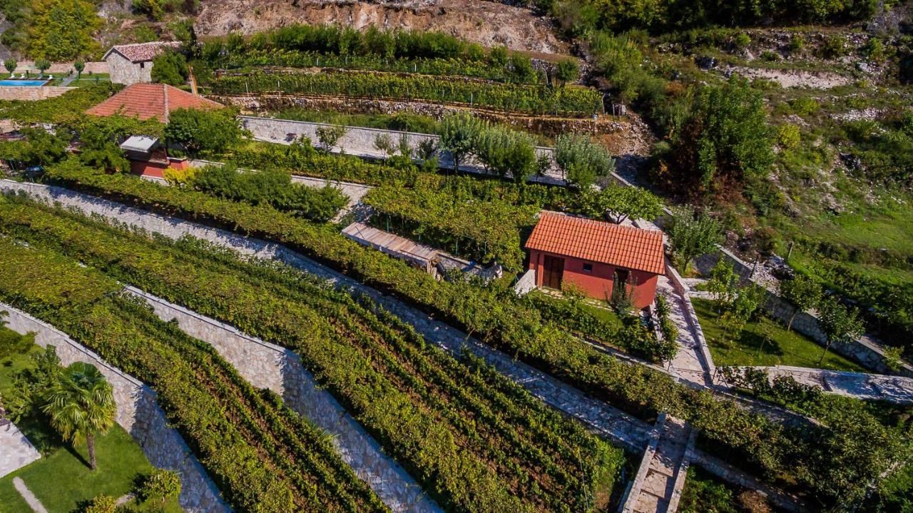 Виллы Eco Resort Cermeniza Вирпазар-40