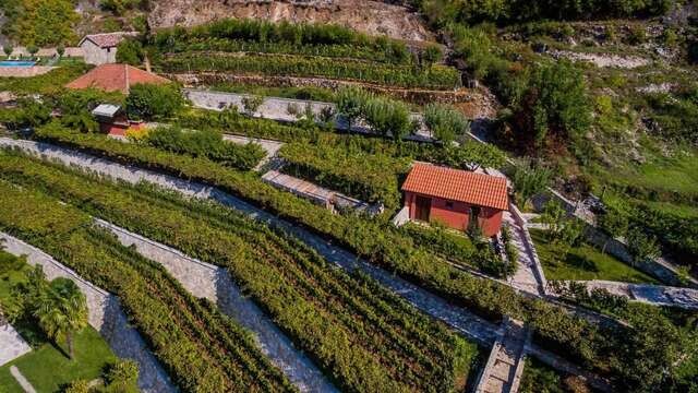 Виллы Eco Resort Cermeniza Вирпазар-39